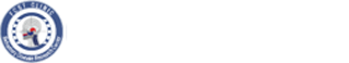 WEBSREPUBLIC